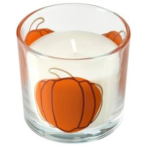 20 Hr Spiced Pumpkin in Glass Candle